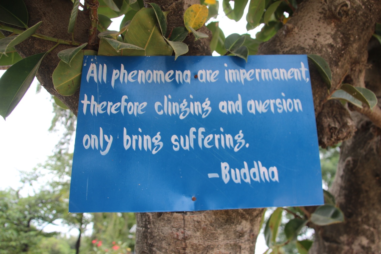 Buddha-Zitat am Bodhi-Baum  