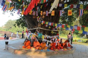 Mönche unter einem Bodhi-Baum in Lumbini