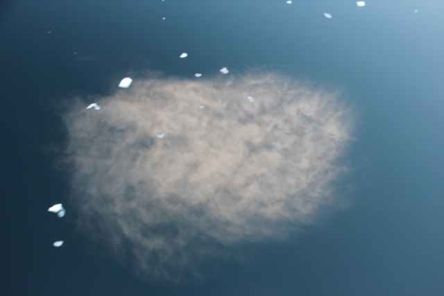 Wolke spiegelt sich im Eismeer 